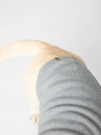 Brochu Walker The Cashmere Dog Hoodie In Brume Grey