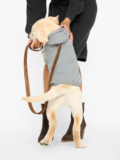 Brochu Walker The Cashmere Dog Hoodie In Brume Grey