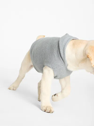 Brochu Walker The Cashmere Dog Hoodie In Brume Grey