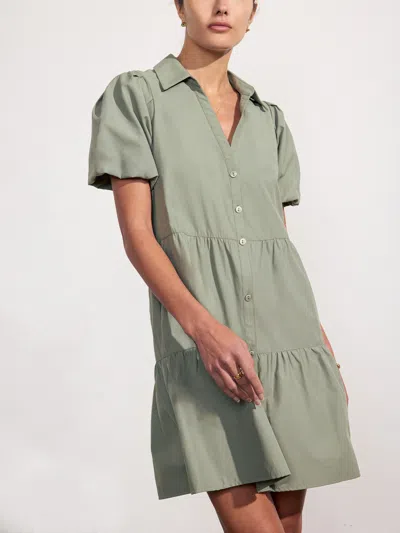 Brochu Walker The Havana Mini Dress In Agave
