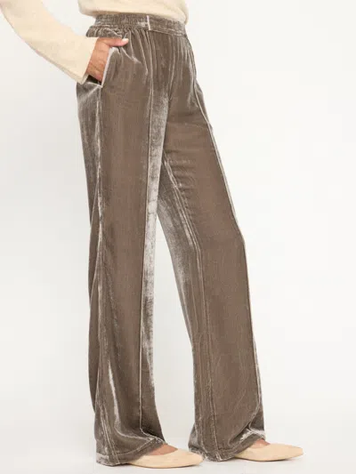 Brochu Walker The Tama Pant In Echo Grey