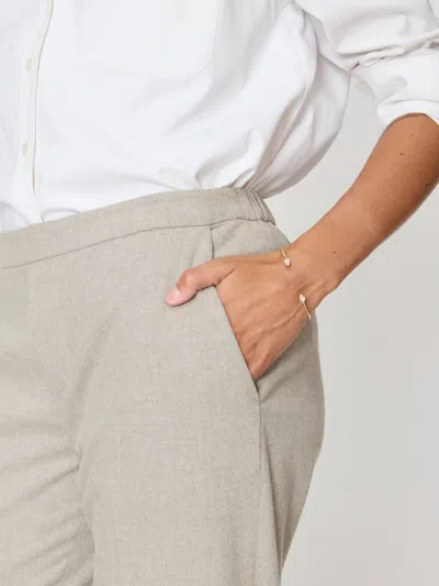Brochu Walker The Westport Brushed Pant In Whisper Melange