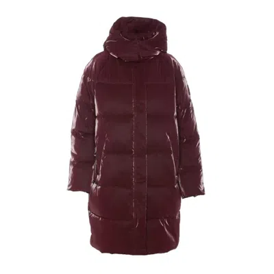 Shop Elisabetta Franchi Padded Jacket In Rouge Noir