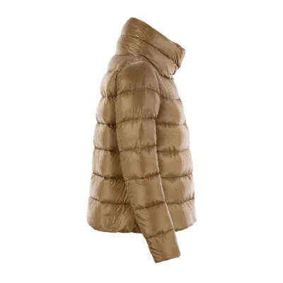 Herno Down Jacket With Ring Collar In Brown