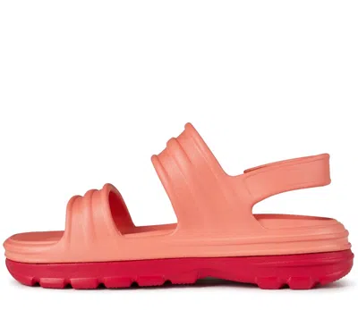 Hunter Bloom Algae Foam Sandals