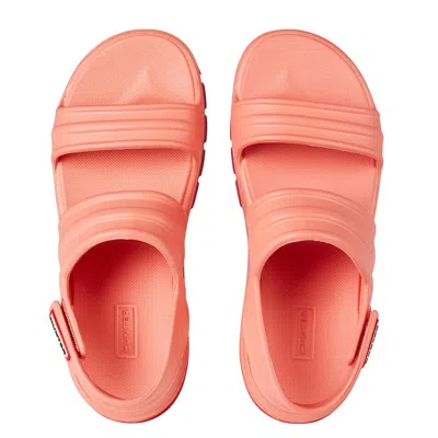 Hunter Bloom Algae Foam Sandals