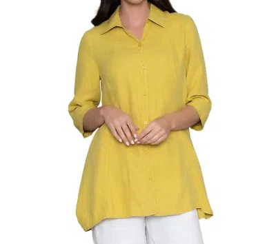 Stella Carakasi Harmony Tunic In Cactus In Green