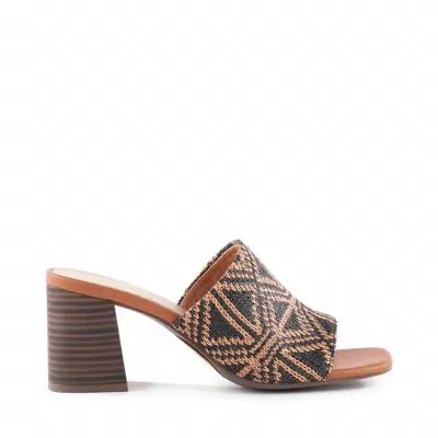 Seychelles Papaya In Brown