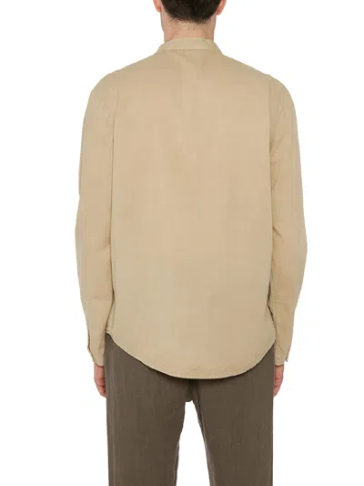 Daub Shirts