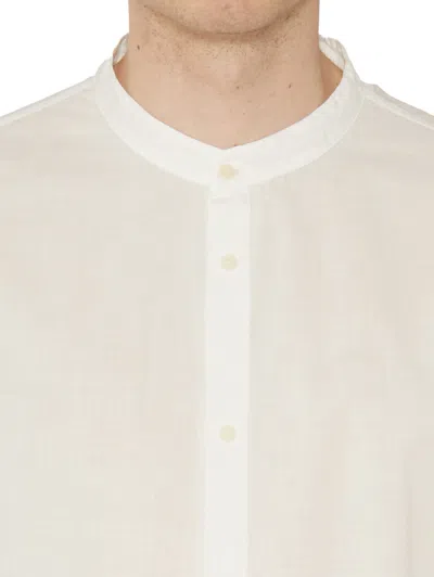 Daub Shirts