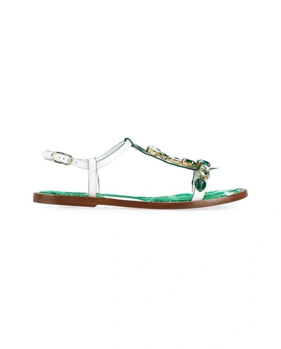 Shop Dolce & Gabbana Crystal Embellished Flat Leather Sandals