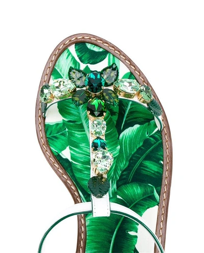 Shop Dolce & Gabbana Crystal Embellished Flat Leather Sandals