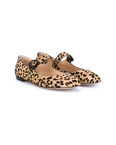 Shop Gianvito Rossi Leopard-print Calf Hair Ballet Flats
