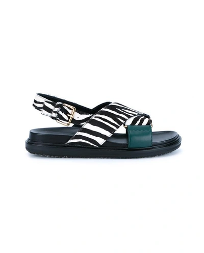 Shop Marni Fussabett Zebra Print Sandals