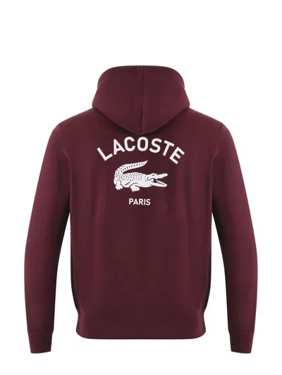 Lacoste Sudadera - Rojo Oscuro In Red