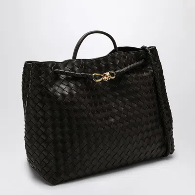 Bottega Veneta Andiamo Large Fondant-coloured Bag In Brown