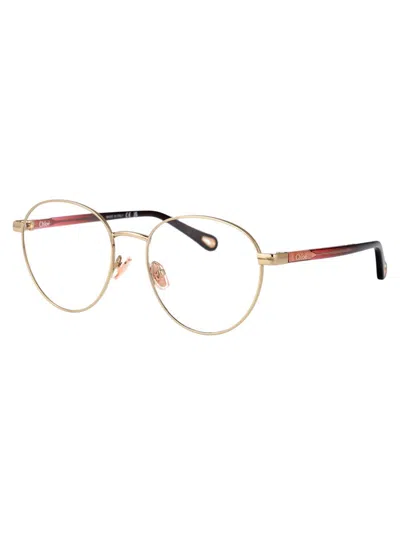 Chloé Ch0269o Glasses In Gold-burgundy-transparent
