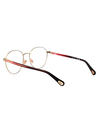 Chloé Ch0269o Glasses In Gold-burgundy-transparent