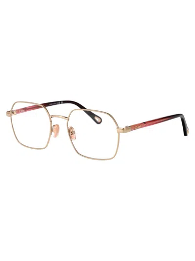 Chloé Ch0268o Glasses In Gold-burgundy-transparent