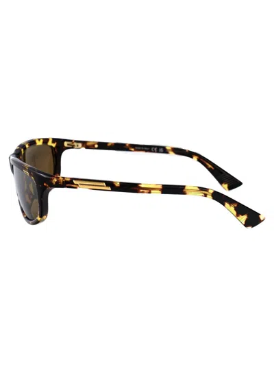 Bottega Veneta Sunglasses In Havana-havana-bronze