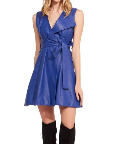 Eva Franco Wesley Dress In Blue