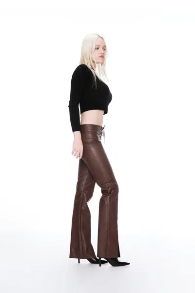 HO24 ELEMENT LACE UP PANT 