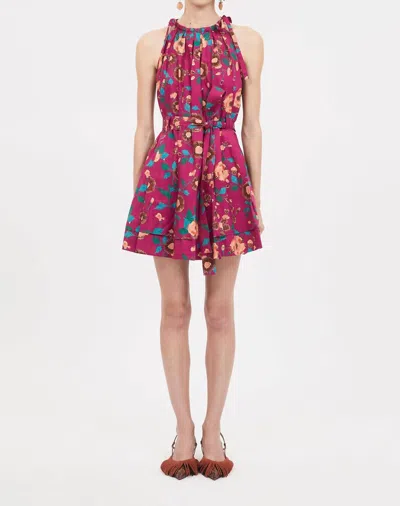 Ulla Johnson Brienne Floral Cotton Minidress In Multi
