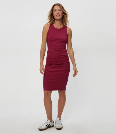 Michael Stars Demi Ribbed Dress In Cabernet