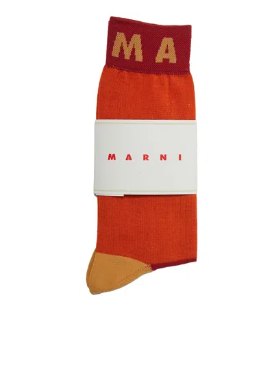 Marni Cotton Socks