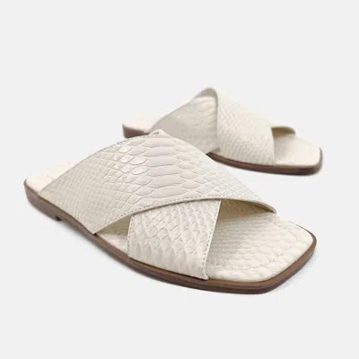 Shu Shop Clementina In Bone Snake In Multi
