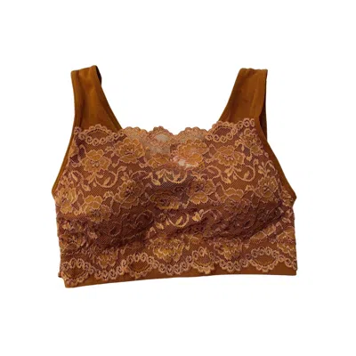 Trend:notes Women's Lace Bandeau Bralette In Terra Cotta In Multi