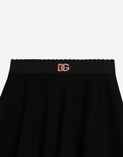 Dolce & Gabbana Skirt With Dg Embroidery In Black