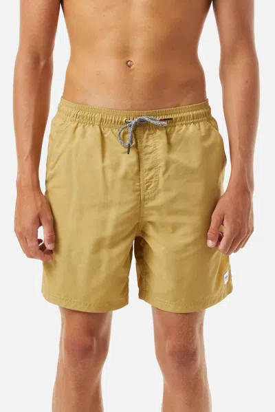 Katin Volley Trunk In Brass In Multi