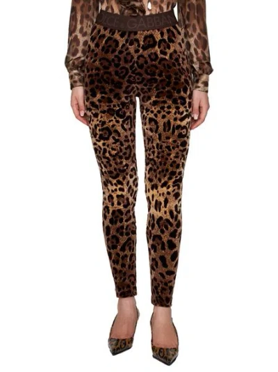 Dolce & Gabbana High Waist Leopard Print Cotton Blend Leggings