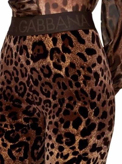 Dolce & Gabbana High Waist Leopard Print Cotton Blend Leggings