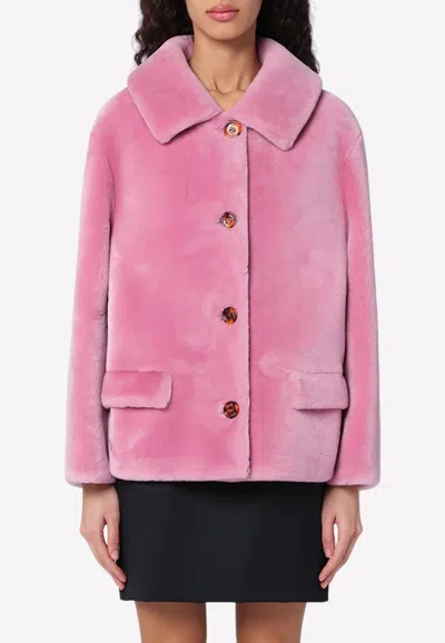 Prada Single-breasted Shearling Jacket In Pink