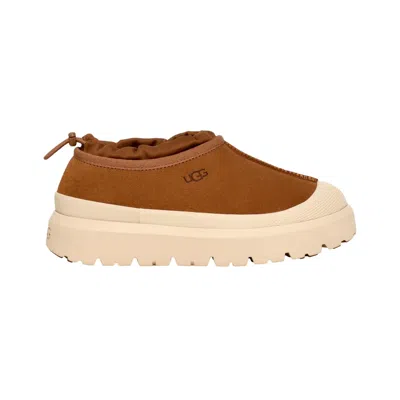 Ugg Tasman Weather Hybrid Chestnut Whitecap Slipper In Brown