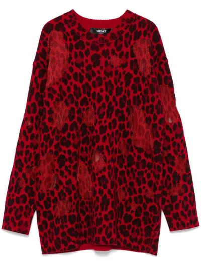 Shop Versace Wool Sweater With Leopard Print In Red