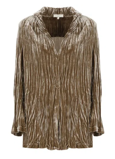 Antonelli Jacket In Brown