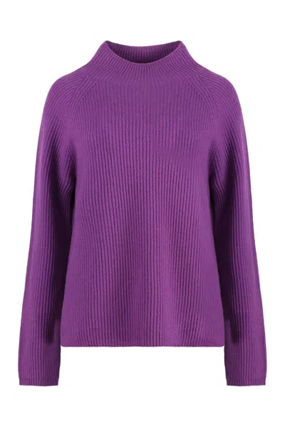 S Max Mara Elica Wool And Cachemire Turtleneck Pullover In Purple