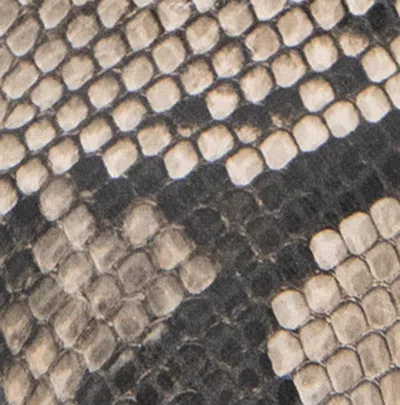 Kenneth Cole Quincy Bootie In Taupe Snake