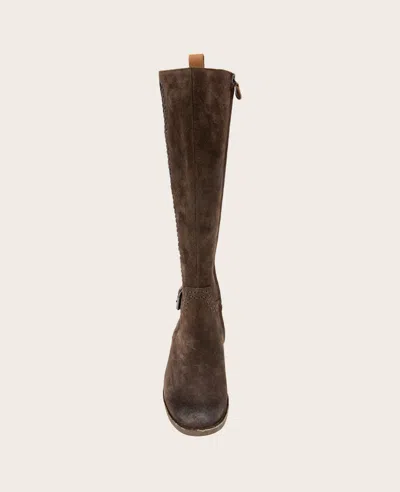 Gentle Souls Women's Elmwood Tall Riding Boots In Chocolate Suede