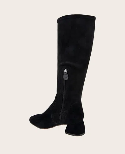 Gentle Souls Women's Emily Stretch Boots In Black Suede