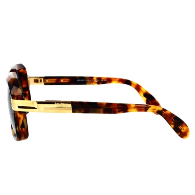 Cazal Sunglasses In Havana