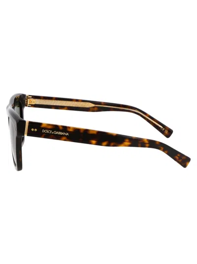 Dolce & Gabbana Sunglasses In 502/71 Havana