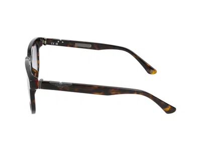 Police Sunglasses In Dark Havana Glossy