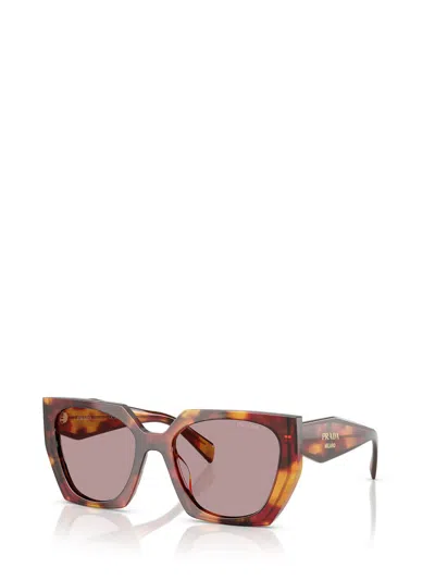 Prada 55mm Gradient Rectangular Sunglasses In Poppy Tortoise