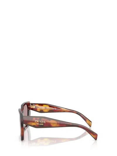 Prada 55mm Gradient Rectangular Sunglasses In Poppy Tortoise