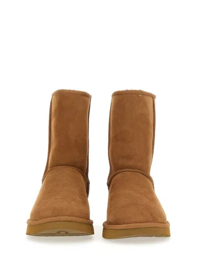 Shop Ugg Boot Classic Short Ii In Brown