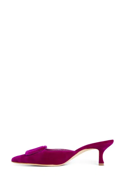 Manolo Blahnik 50mm Maysale Mules In Purple